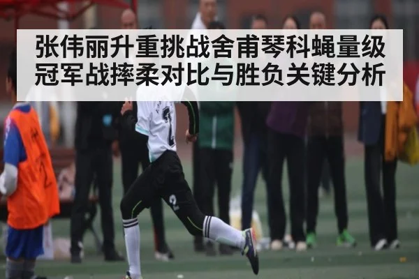 张伟丽升重挑战舍甫琴科蝇量级冠军战摔柔对比与胜负关键分析