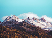 队员坦言确实很累 看别人脸色的恒大唯有默默等待